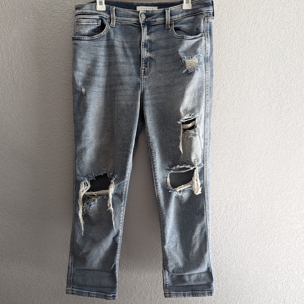Eunina High Rise Rocky Boyfriend Distressed Jeans